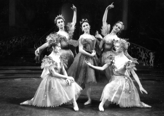 Sibley_Fairy Spring_GBL Wilson